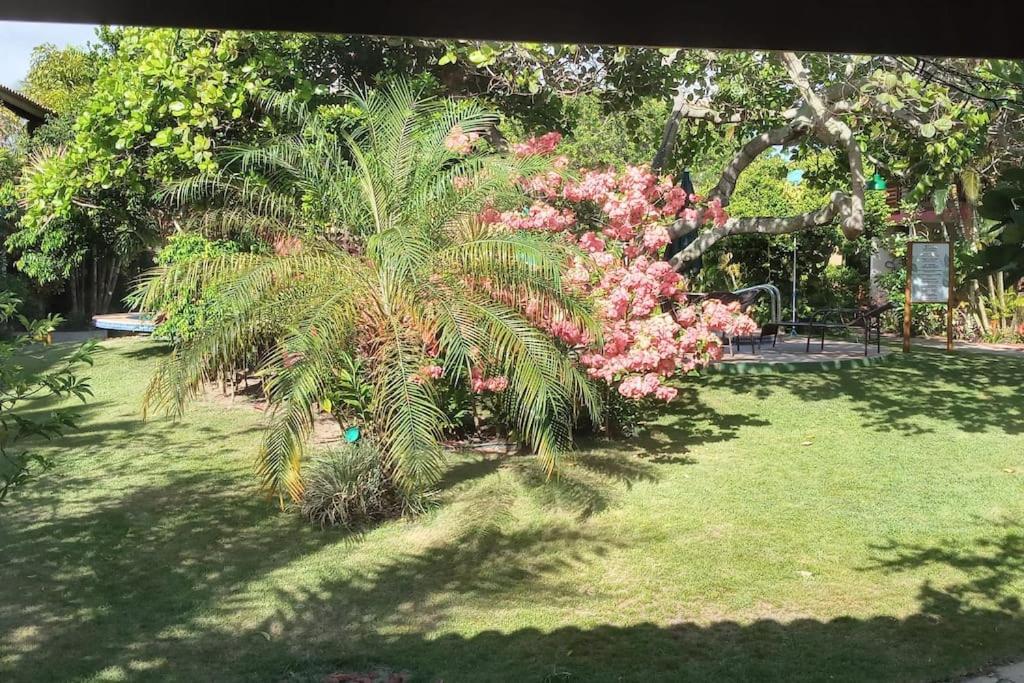 Imbassai - Casa Alto Padrao Completa - Condominio Fechado - A2B1 Kültér fotó